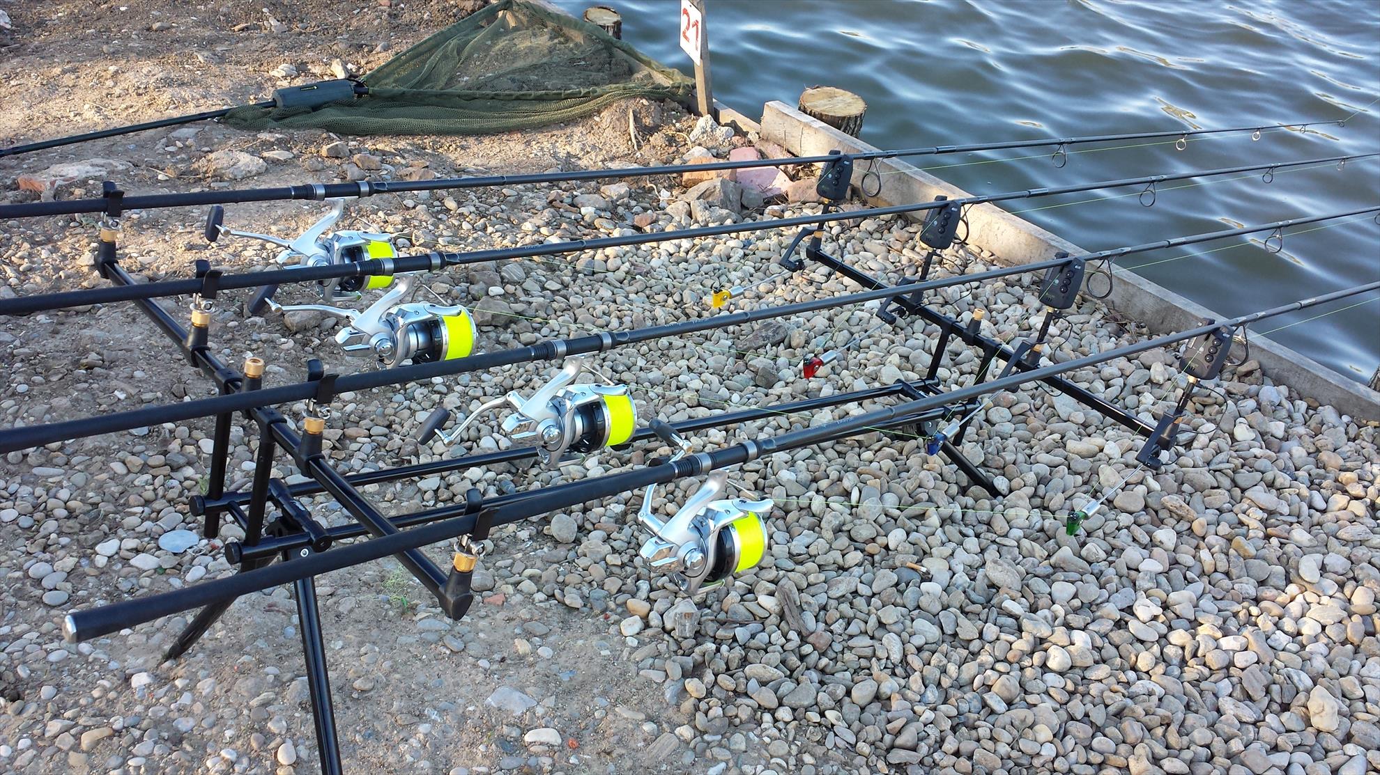 Hermes Peris 4 aprilie 2015 - 20150404084509.jpg